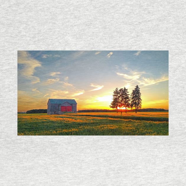 Ontario Barn and Trees, and a Glorious Sunset by BrianPShaw